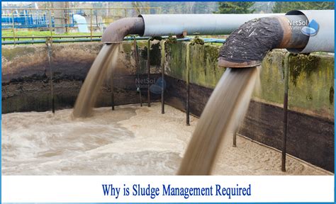 Oily Sludge Separation Iran|Characteristics and Disposal Options of Sludges from .